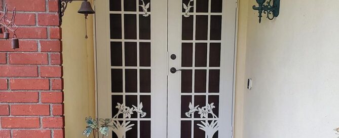 CSS-Security-Screen-Doors-vs.-Standard-Doors-Which-Offers-Better-Protection