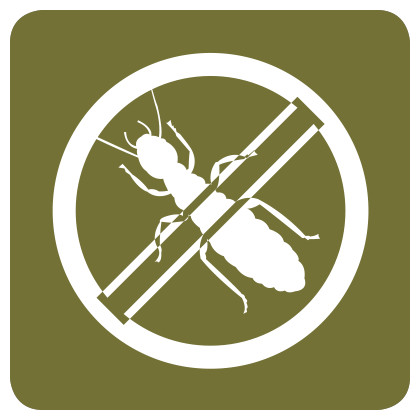INSECT CONTROL