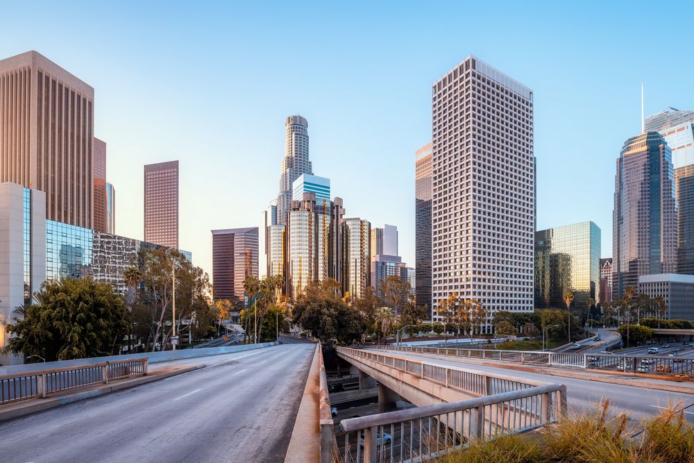 Hinged Single Doors in Los Angeles, CA