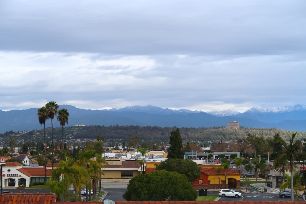 Hinged Single Security Screen Doors in Hacienda Heights, CA