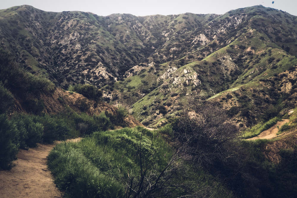 Crimsafe Security Screens in Shadow Hills, CA