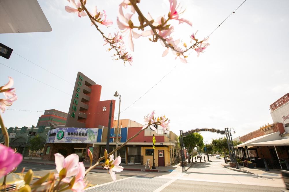 Hinged Security Screen Doors in Bellflower, CA.