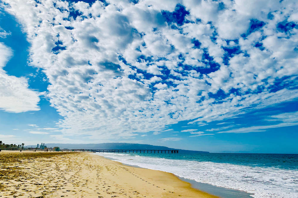 Titan Premium Security Screen Doors and Window Screens in Hermosa Beach, CA