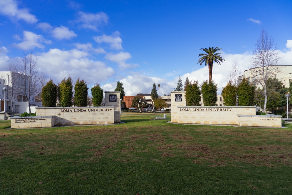 Window Security Screens in Loma Linda, CA