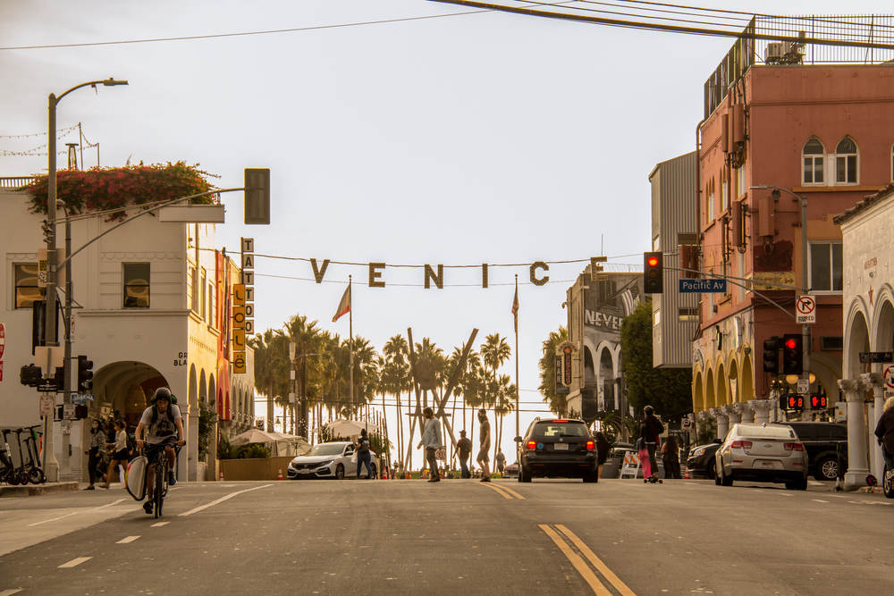 Window Security Screens in Venice, CA