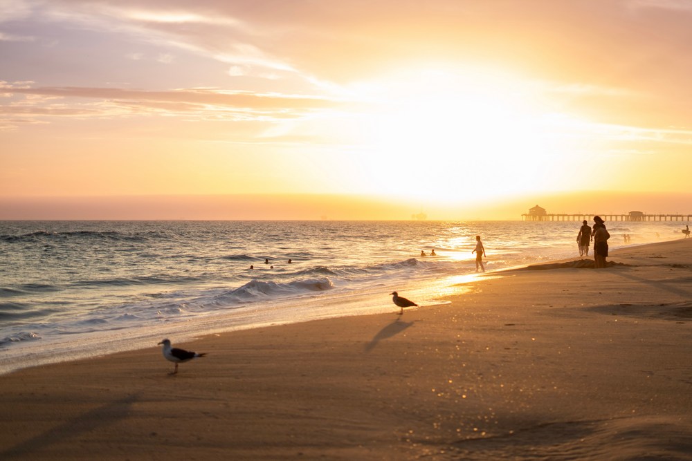 Sliding Security Screen Doors in Sunset Beach, CA
