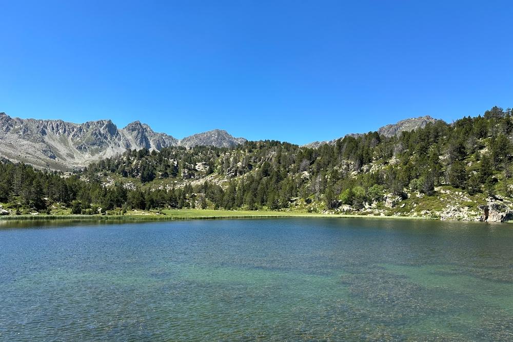Crimsafe Security Screens in Sierra Lakes, CA