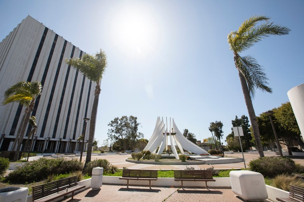 Vista Security Screens in Compton