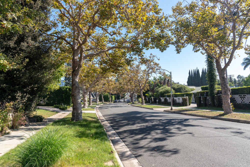 Window Security Screens in Rolling Ridge, CA