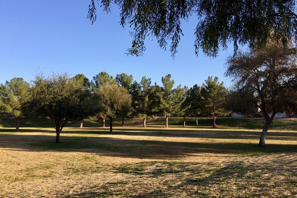 Window Security Screens in Beryl Park, Rancho Cucamonga, CA