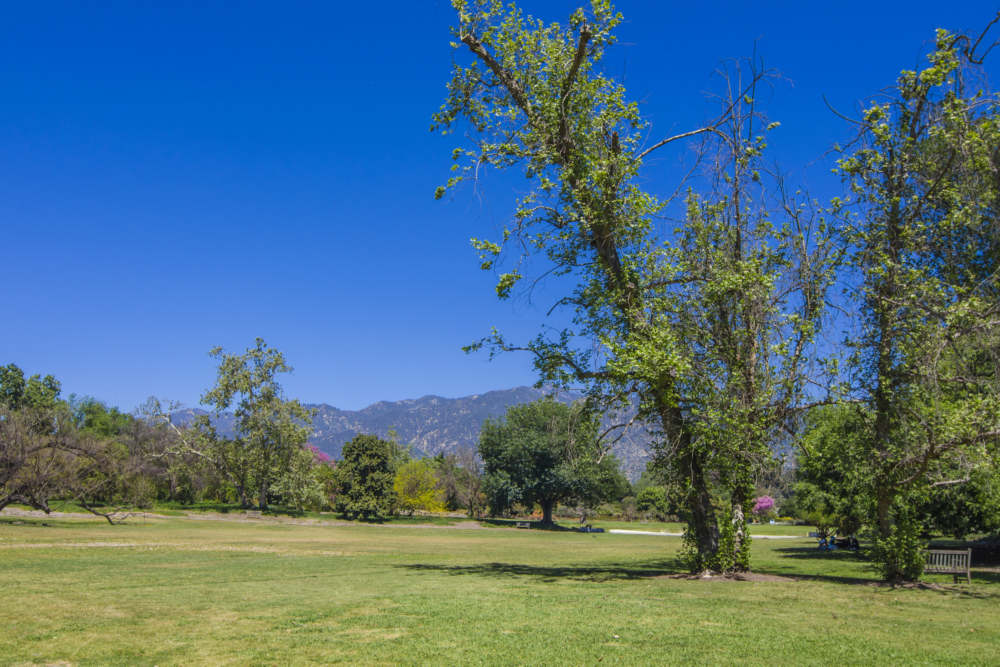 Window Security Screens in Vintage Park, San Bernardino County, CA